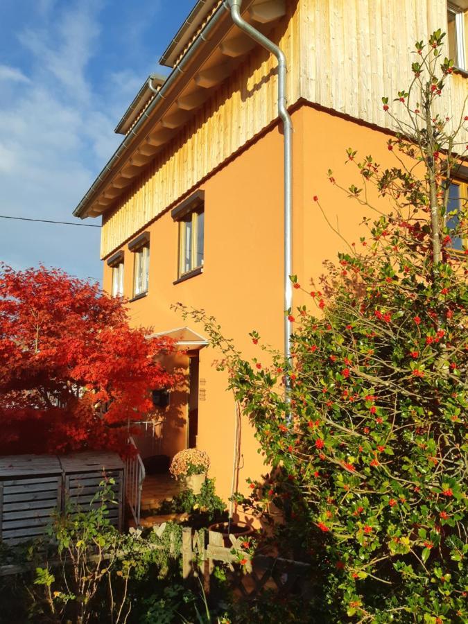 Haus Meersburg Rebe Leilighet Eksteriør bilde